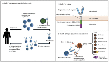 Neurological implications of chimeric antigen receptor-T cell